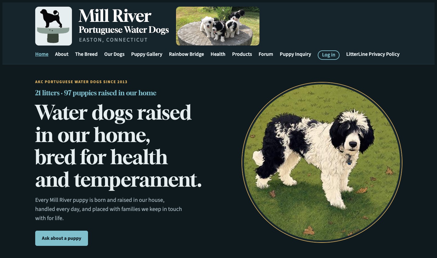 Mill River Portuguese Water Dogs home page, a LitterLine kennel website